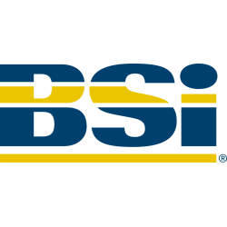 Британский институт стандартов (BSI)